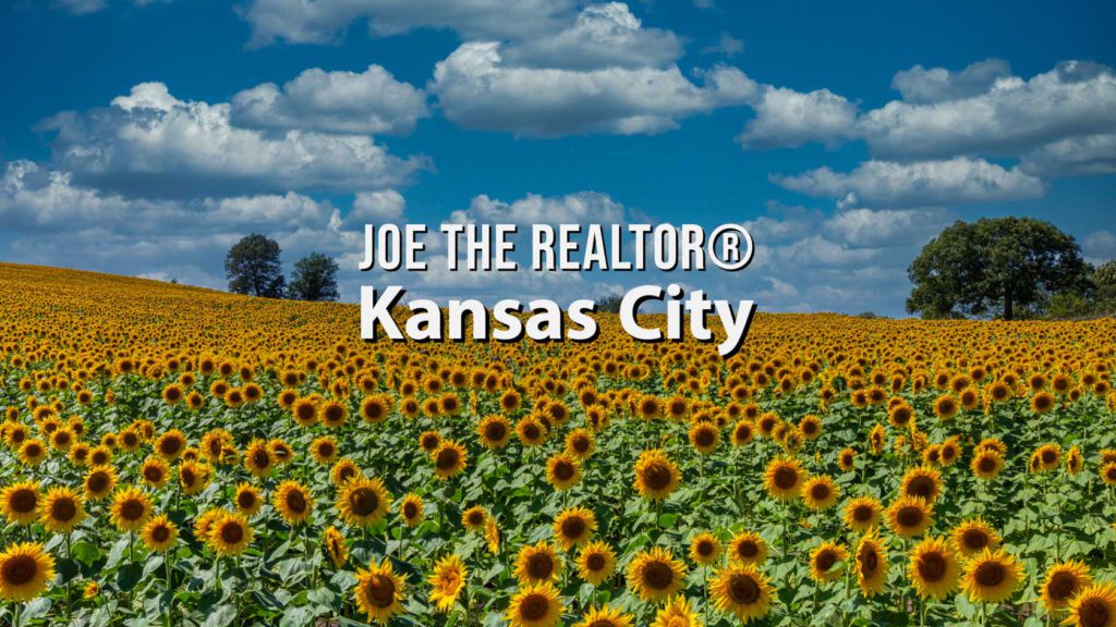 a field of sunflowers in kansas